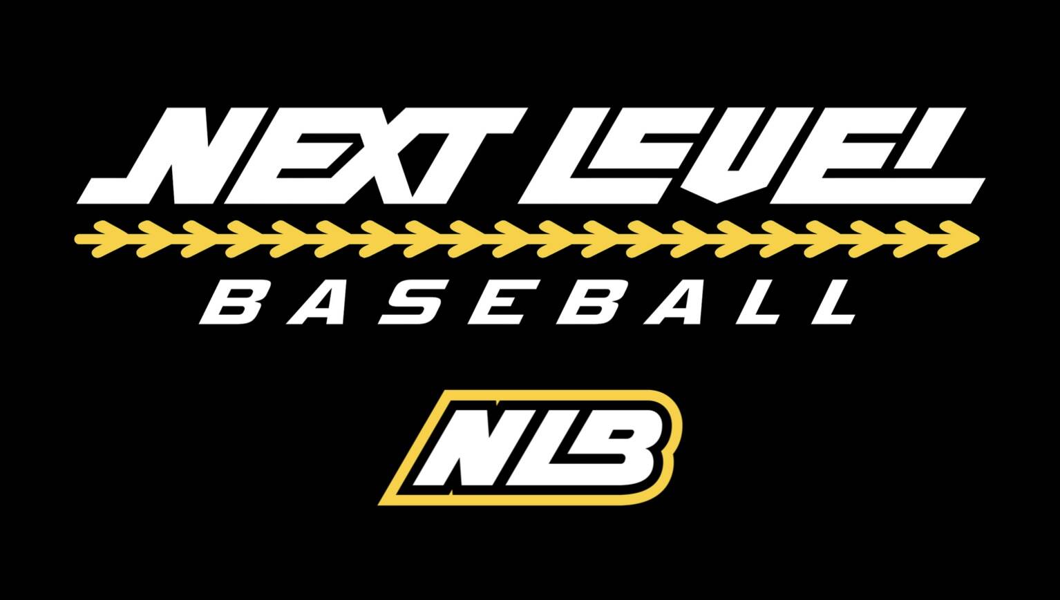 Next Level Baseball